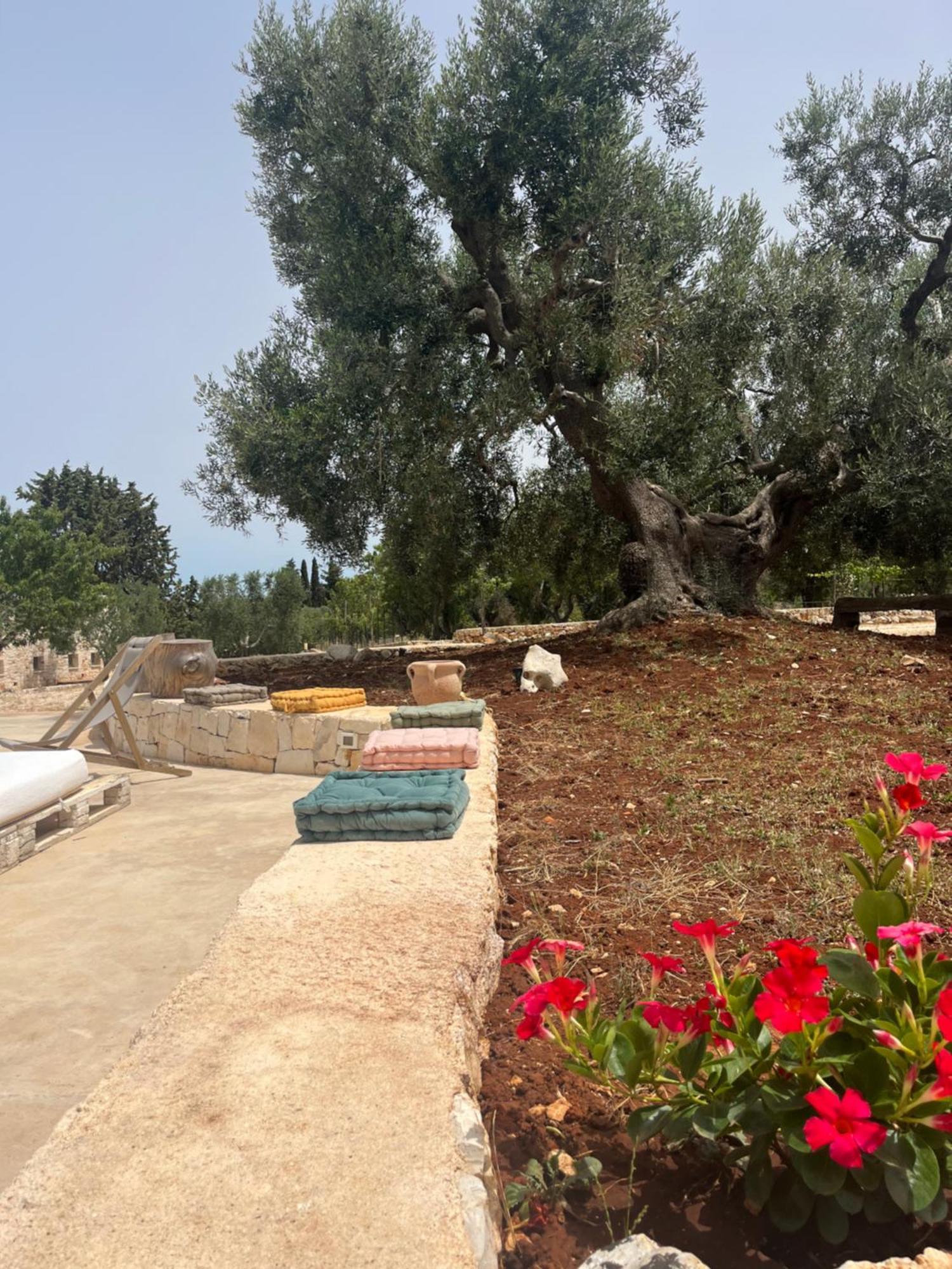 Villa Dominique Relax A Pochi Kilometri Dal Mare Carovigno Exterior photo